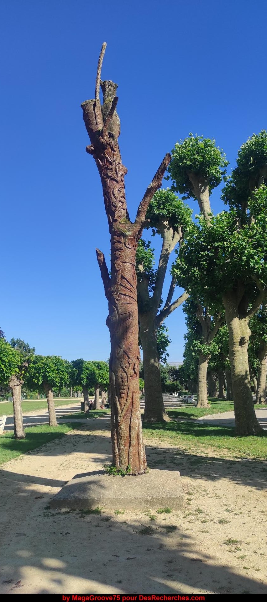 Arbre Sec Sculté (1) Copyright